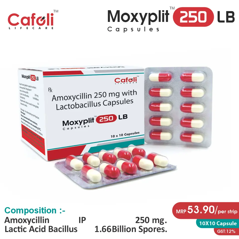 Amoxycillin + Lactic Acid Bacillus Capsule at the best price in PCD Pharma Franchise for digestive support.